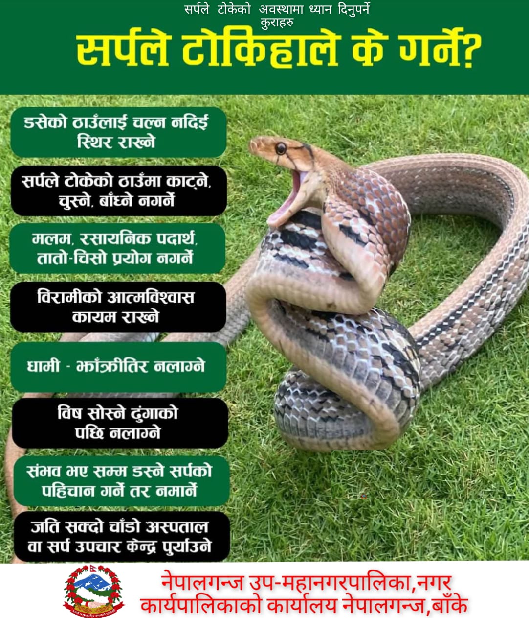 snake