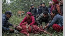 निकुञ्ज क्षेत्रको जङ्गलमा घाँस काट्न गएकी महिलामाथि बाघको आक्रमण, अवस्था गम्भीर
