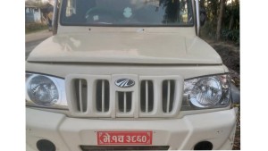 शंकास्पद बिलका भाँडावर्तनसहितको गाडी बरामद, दुई जना सशस्त्र प्रहरीको नियन्त्रणमा