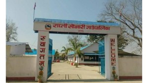 'मान्छे होइन, फाइल हिँड्ने' प्रणालीसहित राप्ती सोनारी गाउँपालिका डिजिटल युगमा प्रवेश