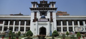 कांग्रेसबाट निर्वाचित दुई वडाध्यक्ष पदमुक्त