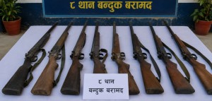 लुकाइएका ८ थान बन्दुक बरामद, चोरी शिकारीका राखिएको आशंका