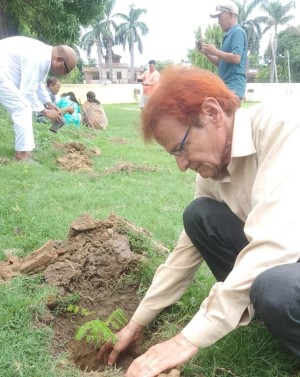वीपी स्मृति दिवसमा कांग्रेस क्षेत्र नं. २ बाँकेले गर्‍यो नेपालगञ्जमा बृक्षारोपण