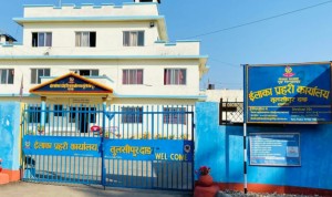 तुलसीपुरको एनएमबी बैंक लुट्न गएका युवक मध्यरातमा पक्राउ