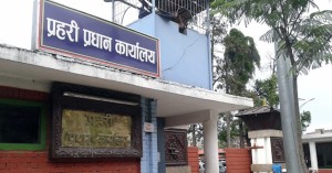 नेपाल प्रहरीका ३७ एसपीको पदस्थापन (सूचीसहित)