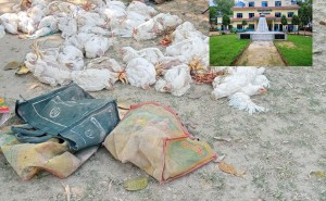 जानकी गाउँपालिका क्षेत्रबाट अन्दाजी पौने १ क्विन्टलबढी कुखुरा बरामद