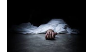 टिपर सडकदेखि सय मिटर तल खस्यो, चालकको घटनास्थलमै मृत्यु