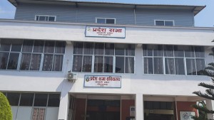 बागमतीमा निर्वाचनमार्फत संसदीय समितिको सभापति टुंगो लगाउन सहमत भए दलहरू