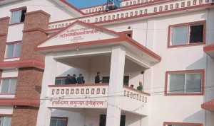 दंगीशरण गाउँपालिकाले गएको वर्षमा कति बनायो सडक?