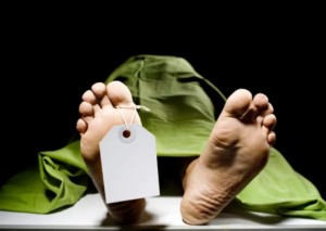 बस र ट्रक ठोक्किँदा ५ जनाको मृत्यु, १५ घाइते