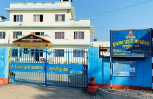 अमेरिका पठाउने भन्दै ८७ लाख ठगी गरेको आरोपमा दाङका बुढाथोकी पक्राउ