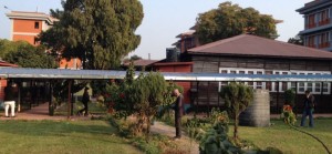 तीन वटा संसदीय समितिको बैठक