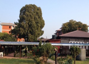 तीन संसदीय समितिको बैठक