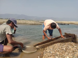 दाङको राप्ती बगरमा बर्दियाबाट सुन खोज्न आउनेहरु.......