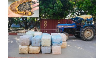 बाँकेको डुडुवाबाट ३० लाखको अवैध सागा च्याउसहित ट्याक्टर सशस्त्र प्रहरीको नियन्त्रणमा