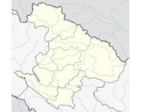 अज्ञात रोगले चङ्खेलीमा ३० बढी पशुको मृत्यु