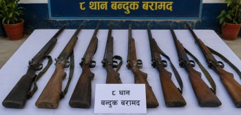 लुकाइएका ८ थान बन्दुक बरामद, चोरी शिकारीका राखिएको आशंका