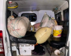 एम्बुलेन्समा गाँजा तस्करी: ५१ किलो गाँजासहित चालक नियन्त्रणमा