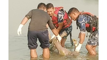 भादा नदिमा बेपत्ता भएको युवकको शव सशस्त्र प्रहरीले फेला पार्‍यो