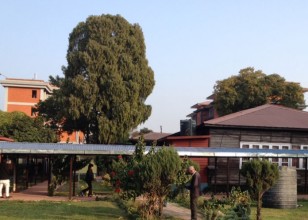 तीन संसदीय समितिको बैठक