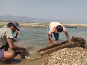 दाङको राप्ती बगरमा बर्दियाबाट सुन खोज्न आउनेहरु.......