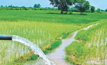 वर्षाले किसानलाई धेरै राहत