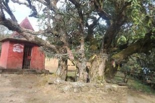 पूर्वाधारको अभावले ओझेलमा पर्दै 'घण्टाचुली'