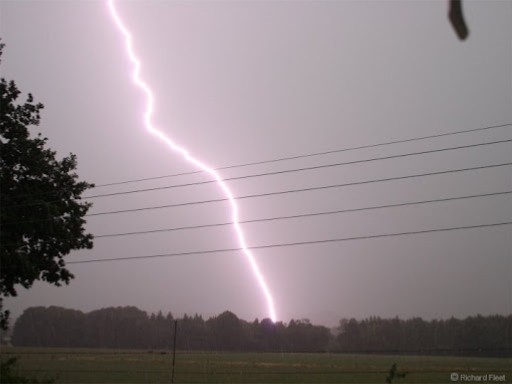 खेतमा काम गरिरहेका १२ जनाको चट्याङ लागेर मृत्यु