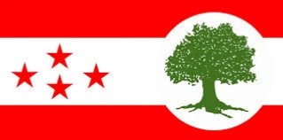 स्थानीय तह उपनिर्वाचन: कांग्रेस हालसम्म १५ वटामा विजयी (नामसहित)
