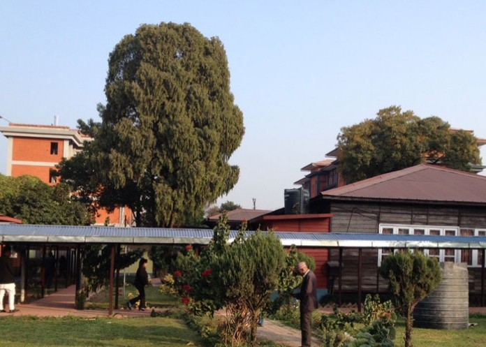 तीन संसदीय समितिको बैठक