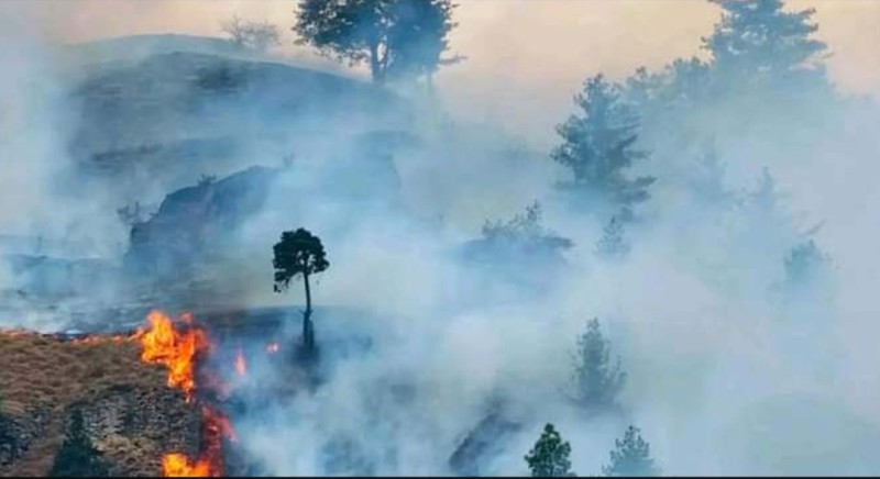 डोल्पामा आगो निभाउँदा ४ जना सेनाका जवान घाइते